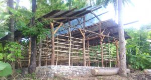 Perkembangan Kegiatan Pembangunan Lahan Kandang sebagai Percontohan Peternakan Sapi di Bakitolas TTU - NTT